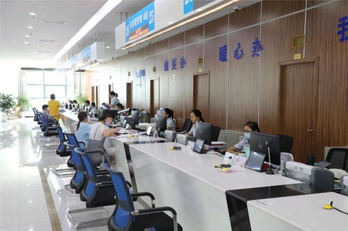 巡礼十三五、奋进十四五 婺城重大项目纷至沓来，教育咨询服务助力赶超图强开启强大引擎