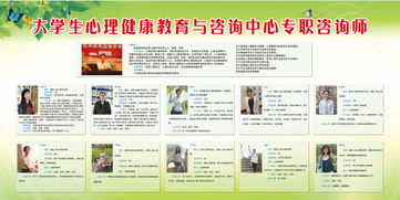大学生心理健康教育与咨询中心专职咨询师的教育咨询服务